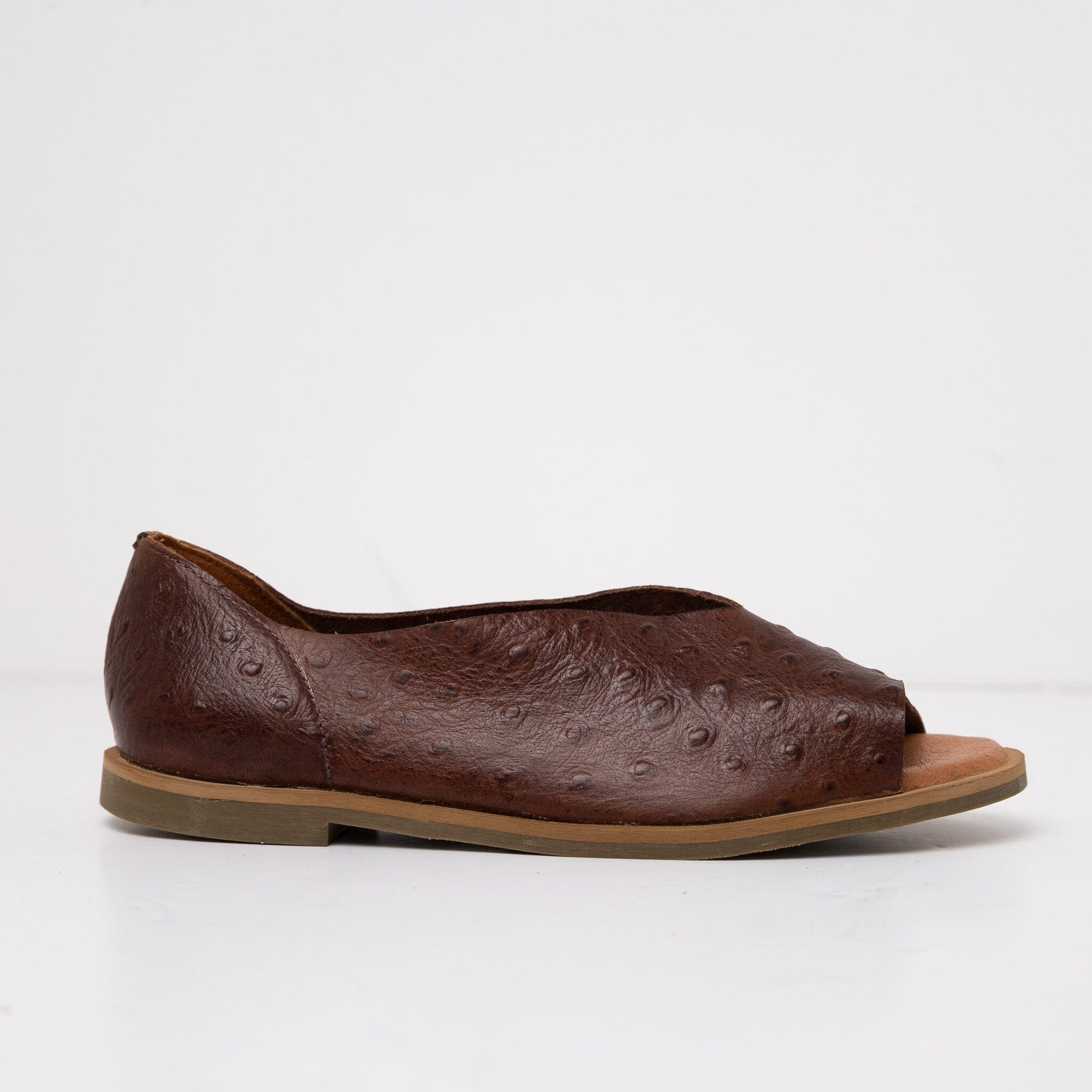 Sandalia Mujer / Nube Café SANDALIAS Giani Dafirenze 