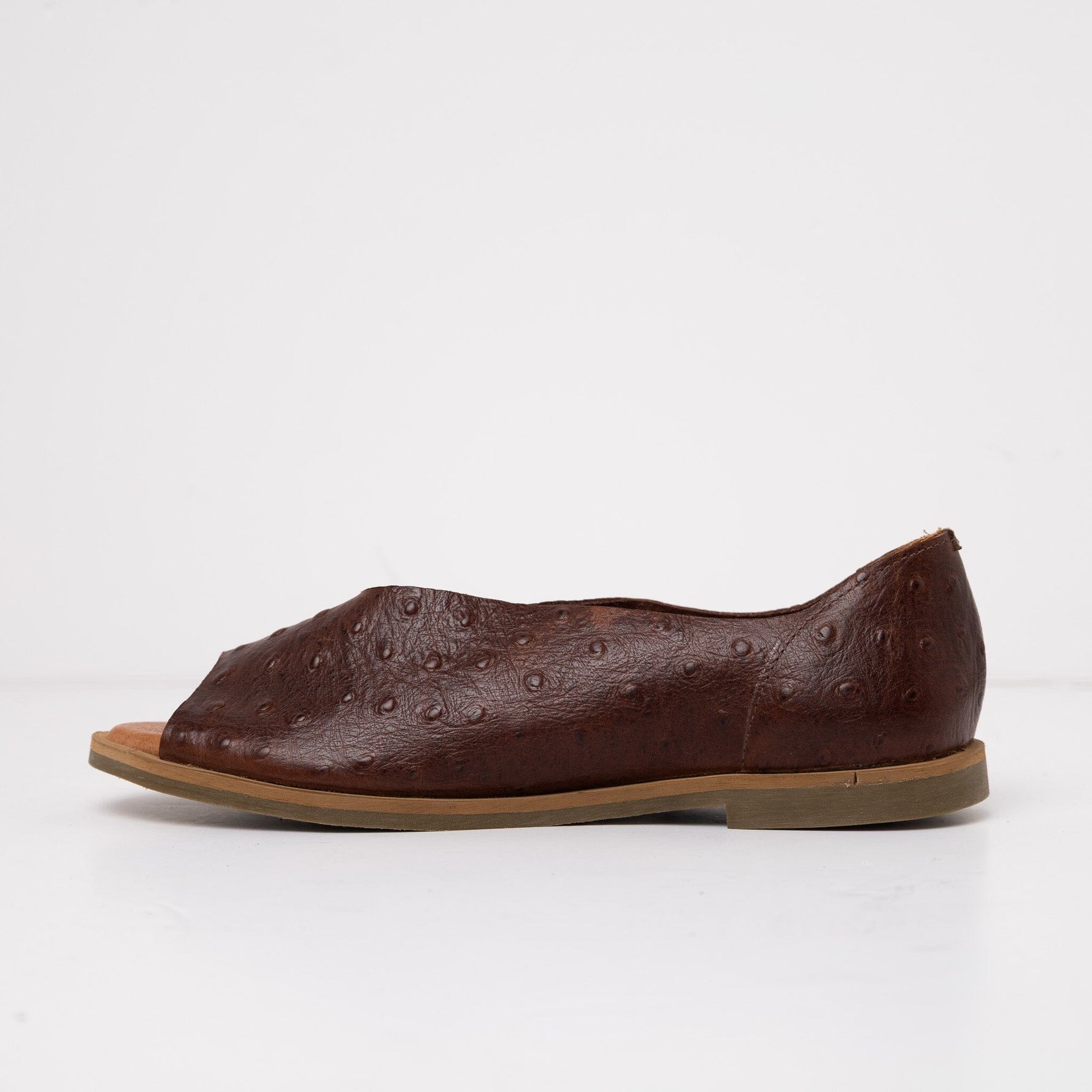 Sandalia Mujer / Nube Café SANDALIAS Giani Dafirenze 