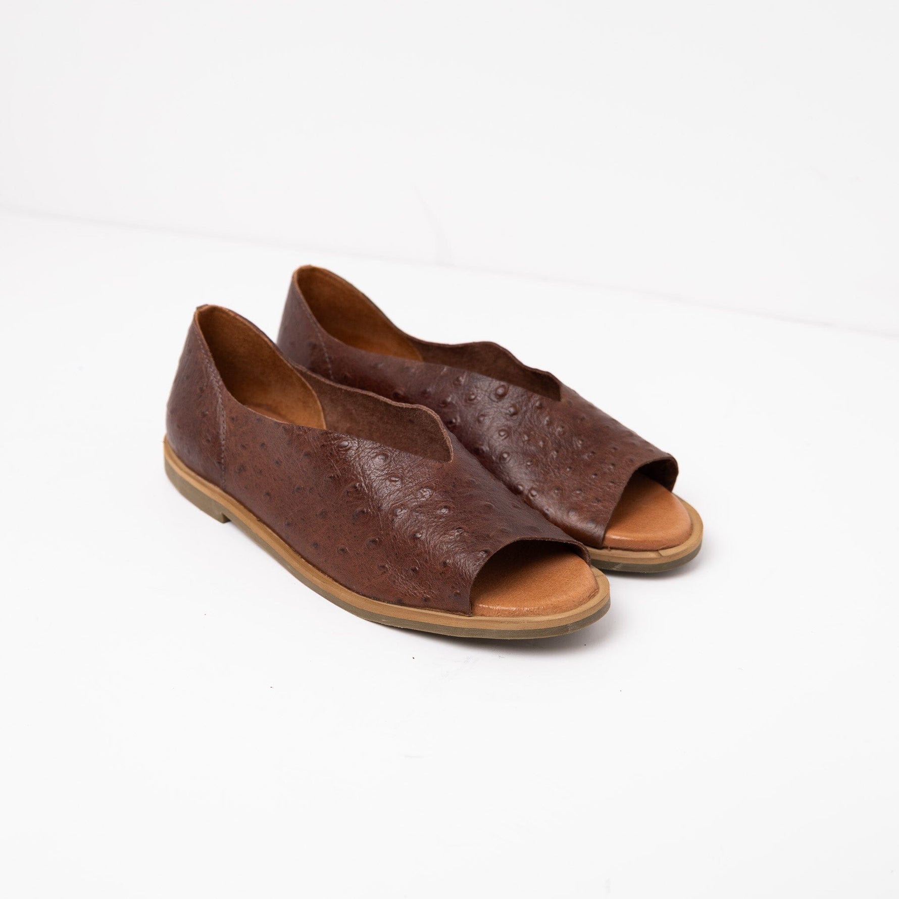 Sandalia Mujer / Nube Café SANDALIAS Giani Dafirenze 