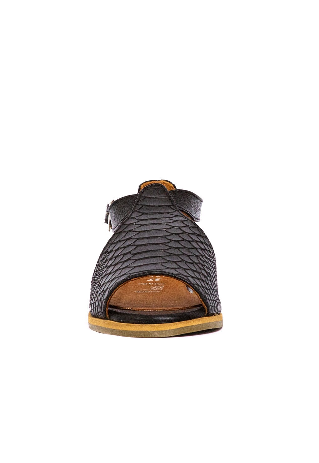 Sandalia Mujer / Oliva Negro SANDALIAS Giani Dafirenze 