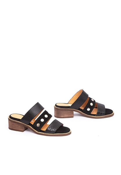 Sandalia Mujer / Piden Negro SANDALIAS Giani Dafirenze 