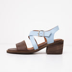 Sandalia Mujer / Salteador Café Celeste SANDALIAS Giani Dafirenze 