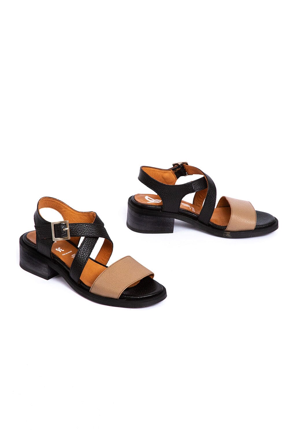 Sandalia Mujer / Salteador Café Negro SANDALIAS Giani Dafirenze 