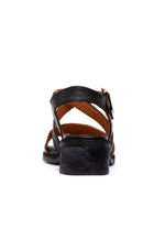 Sandalia Mujer / Salteador Café Negro SANDALIAS Giani Dafirenze 