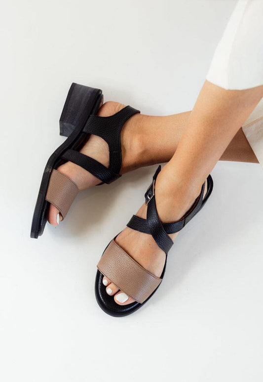 Sandalia Mujer / Salteador Café Negro SANDALIAS Giani Dafirenze 