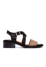 Sandalia Mujer / Salteador Café Negro SANDALIAS Giani Dafirenze 