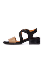 Sandalia Mujer / Salteador Café Negro SANDALIAS Giani Dafirenze 