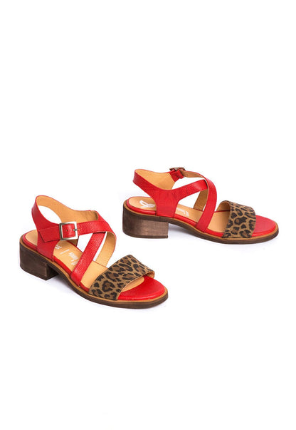 Sandalia Mujer / Salteador Leopardo SANDALIAS Giani Dafirenze 
