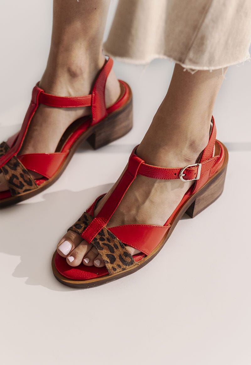 Sandalia Mujer / Sauco Leopardo Rojo SANDALIAS Giani Dafirenze 