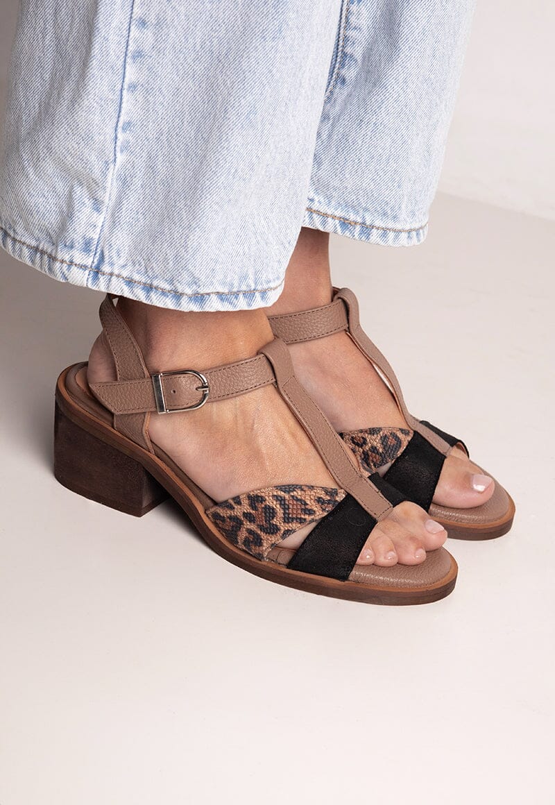 Sandalia Mujer / Sauco Negro SANDALIAS Giani Dafirenze 