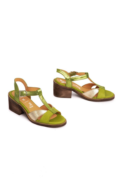 Sandalia Mujer / Sauco Verde Niquel SANDALIAS Giani Dafirenze 