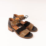 Sandalia Mujer / Siena Leopardo SANDALIAS Giani Dafirenze 