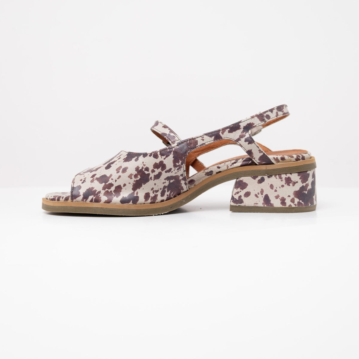 Sandalia Mujer / Solar Print SANDALIAS Giani Dafirenze 