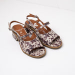 Sandalia Mujer / Solar Print SANDALIAS Giani Dafirenze 