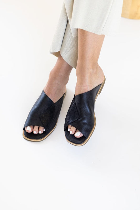 Sandalia Mujer / Terra Negro SANDALIAS Giani Dafirenze 