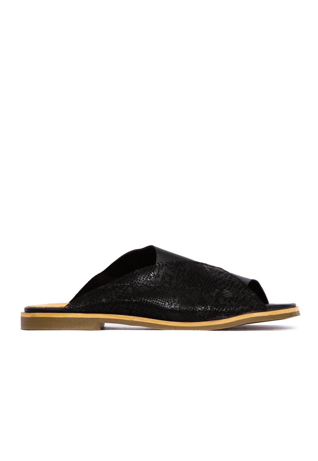 Sandalia Mujer / Terra Negro SANDALIAS Giani Dafirenze 