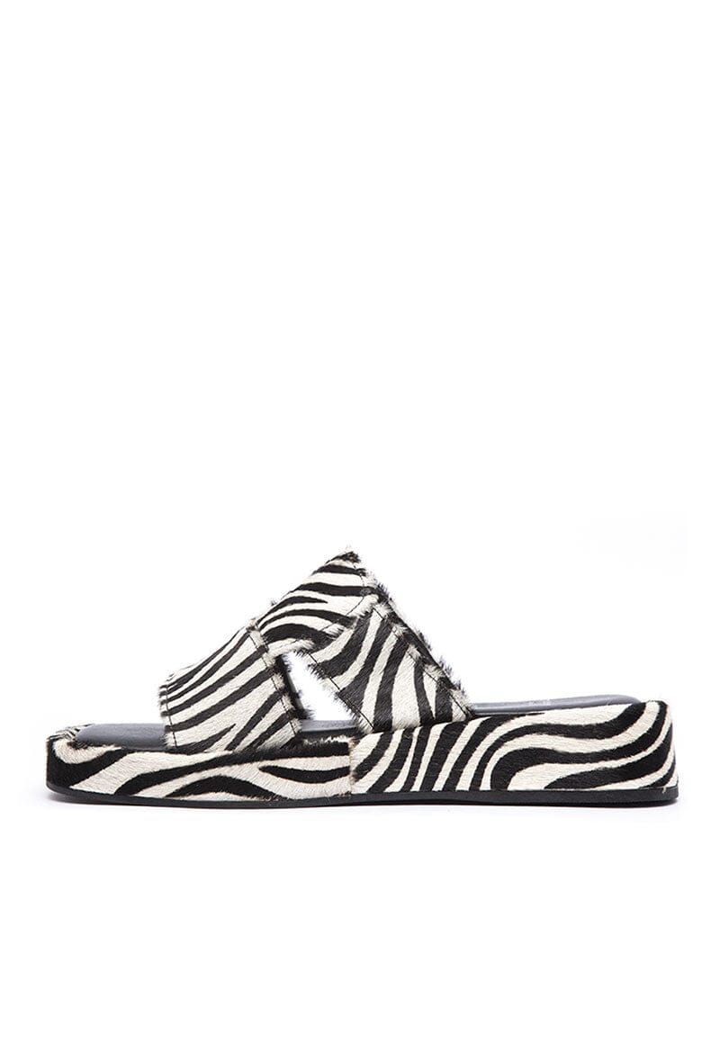 Sandalia Mujer / Zante Zebra SANDALIAS Giani Dafirenze 