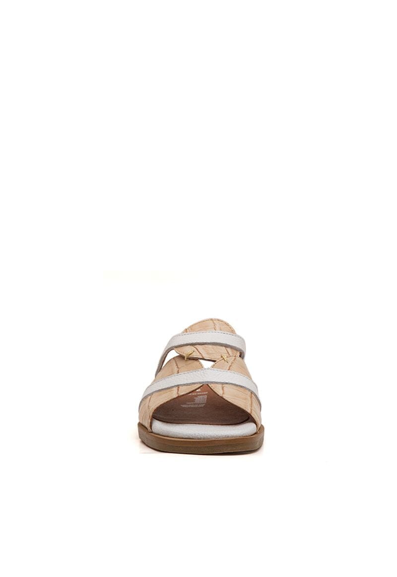 Sandalias ARCE C2 SANDALIAS Giani Dafirenze 