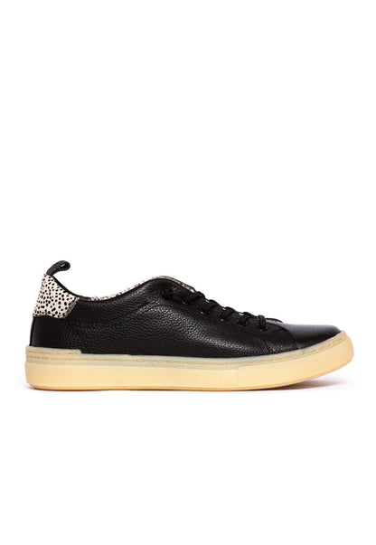 Zapatilla Mujer / Violeta Negro ZAPATILLAS Giani Dafirenze 