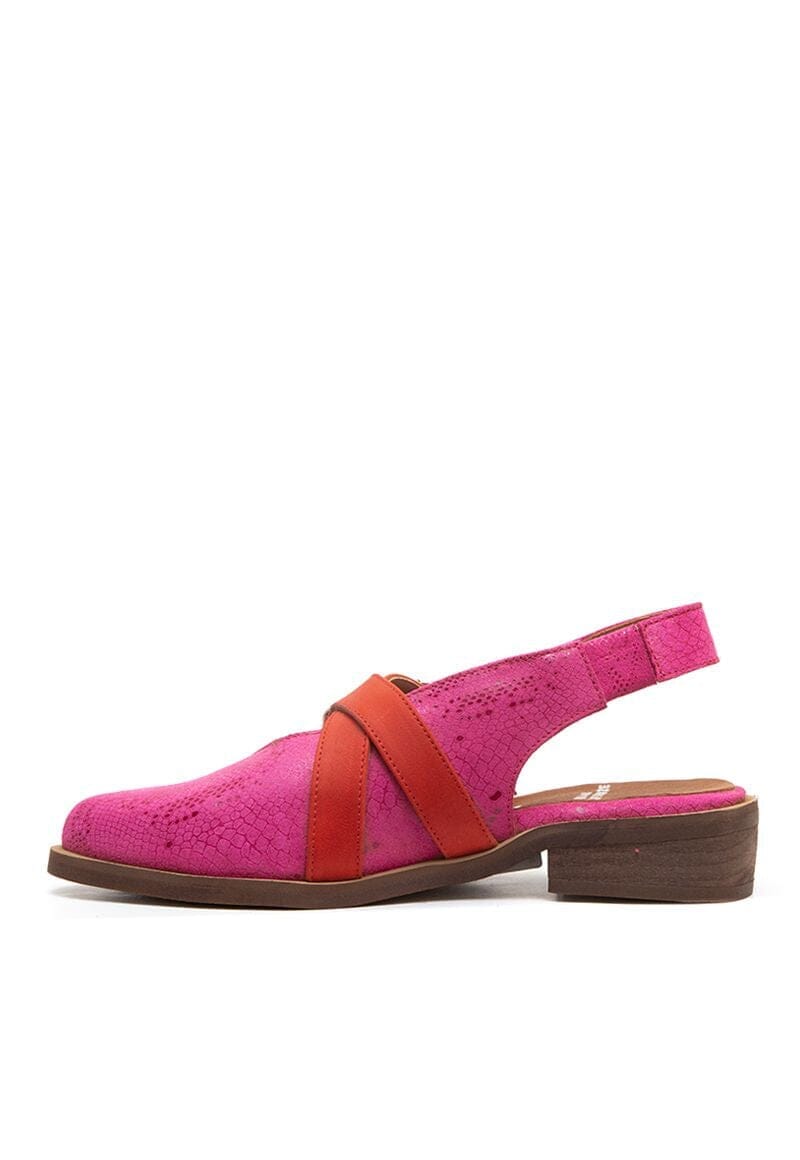 Zapato Mujer / Avellano Fucsia ZAPATOS Giani Dafirenze 