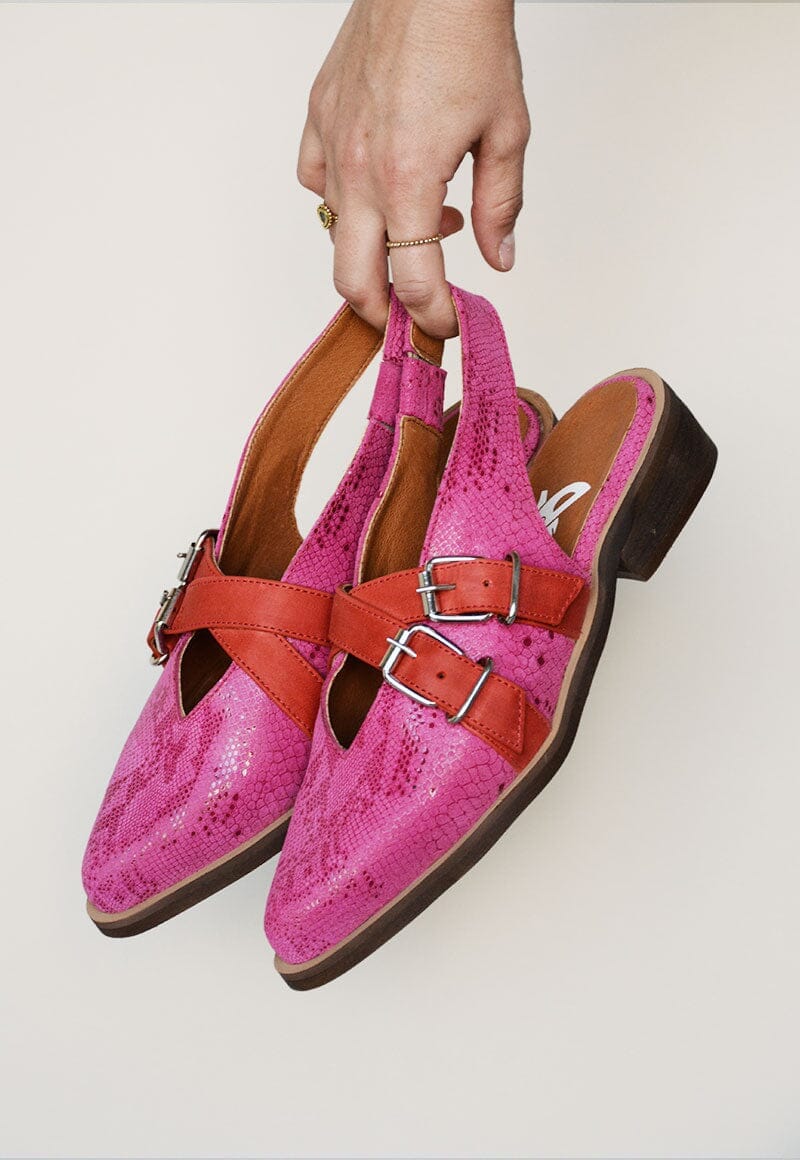 Zapato Mujer / Avellano Fucsia ZAPATOS Giani Dafirenze 