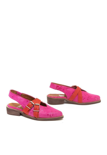 Zapato Mujer / Avellano Fucsia ZAPATOS Giani Dafirenze 