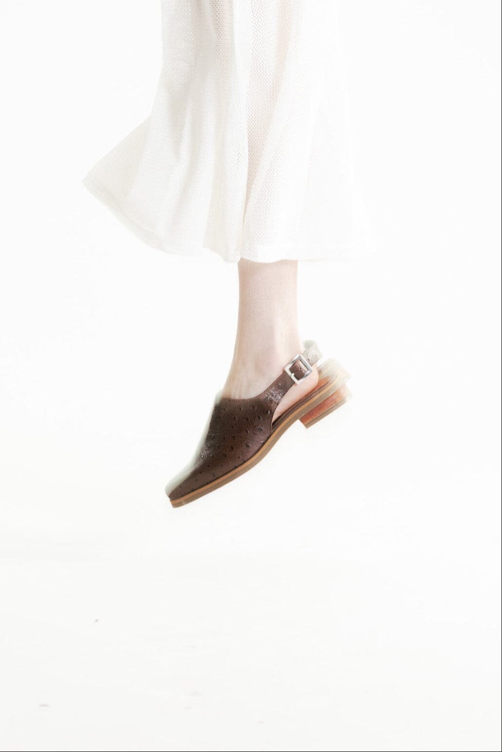 Zapato Mujer / Cardelina Café ZAPATOS Giani Dafirenze 