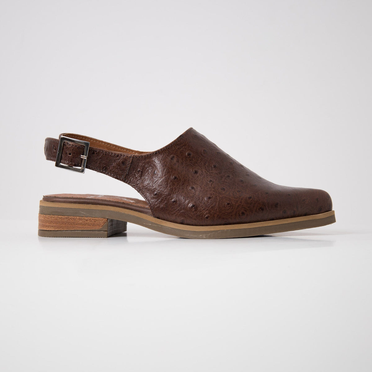 Zapato Mujer / Cardelina Café ZAPATOS Giani Dafirenze 