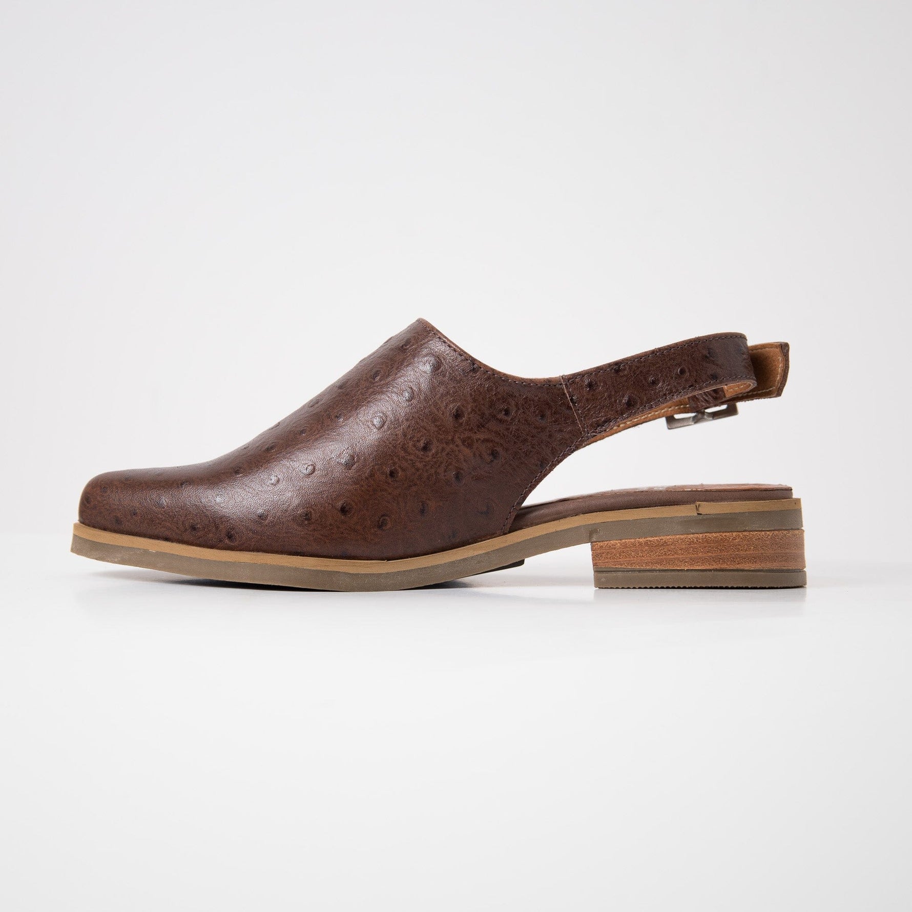 Zapato Mujer / Cardelina Café ZAPATOS Giani Dafirenze 