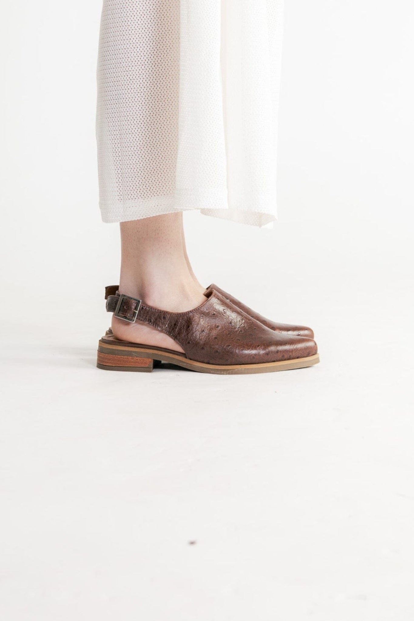 Zapato Mujer / Cardelina Café ZAPATOS Giani Dafirenze 