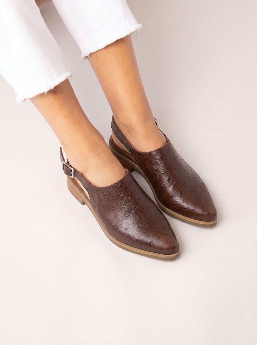 Zapato Mujer / Cardelina Café ZAPATOS Giani Dafirenze 
