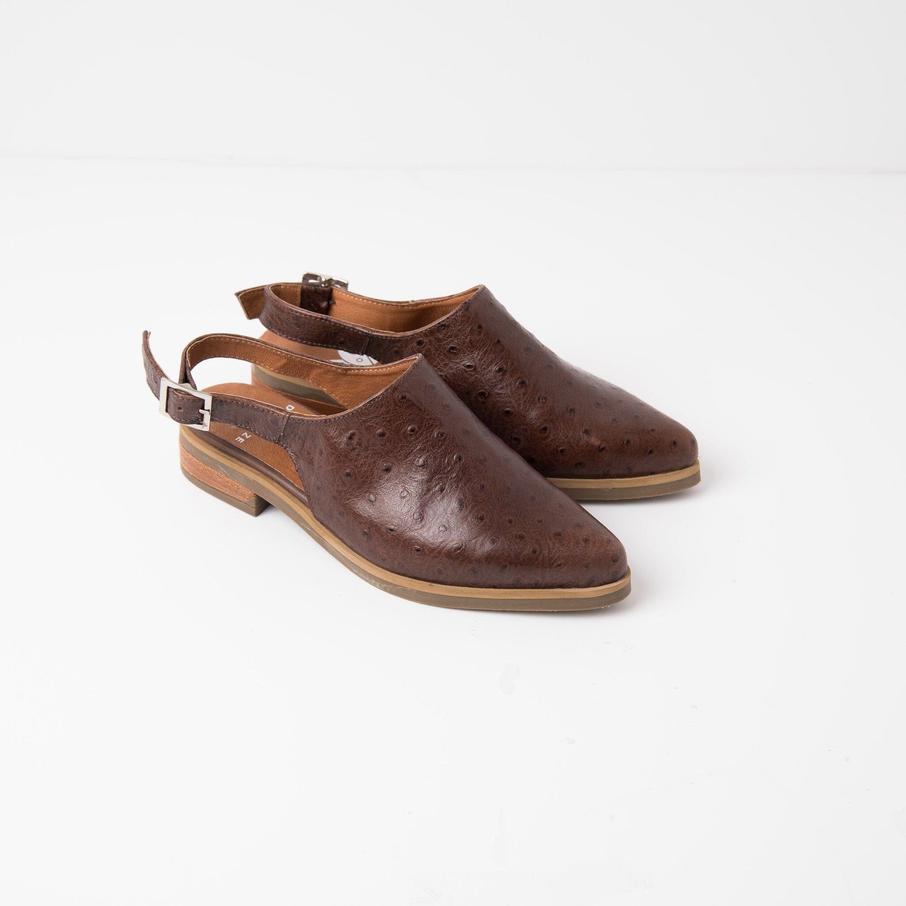 Zapato Mujer / Cardelina Café ZAPATOS Giani Dafirenze 