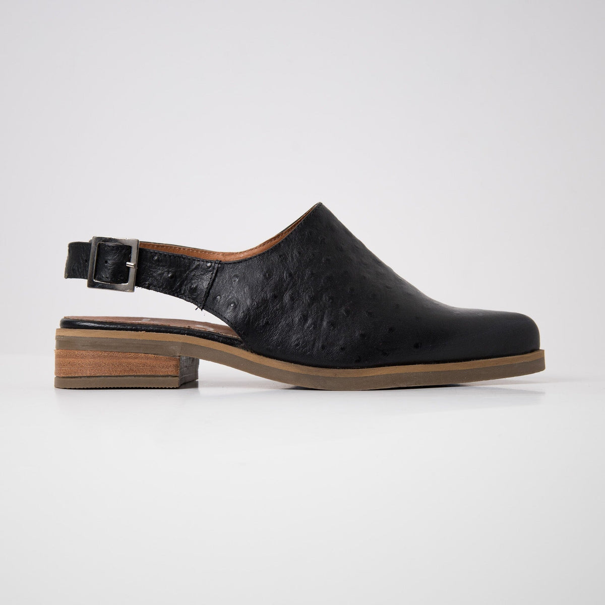 Zapato Mujer / Cardelina Negro ZAPATOS Giani Dafirenze 