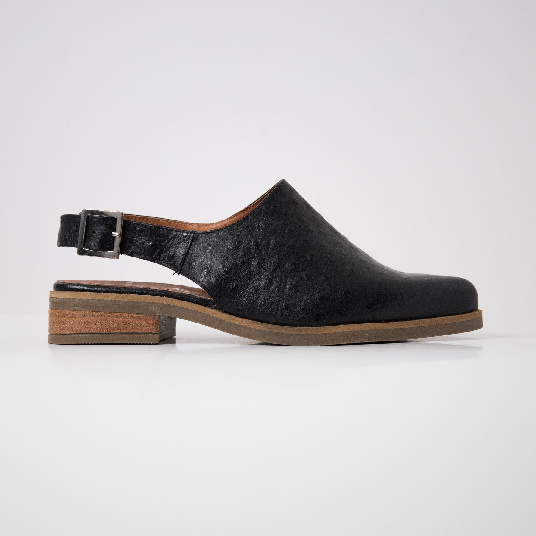 Zapato Mujer / Cardelina Negro ZAPATOS Giani Dafirenze 