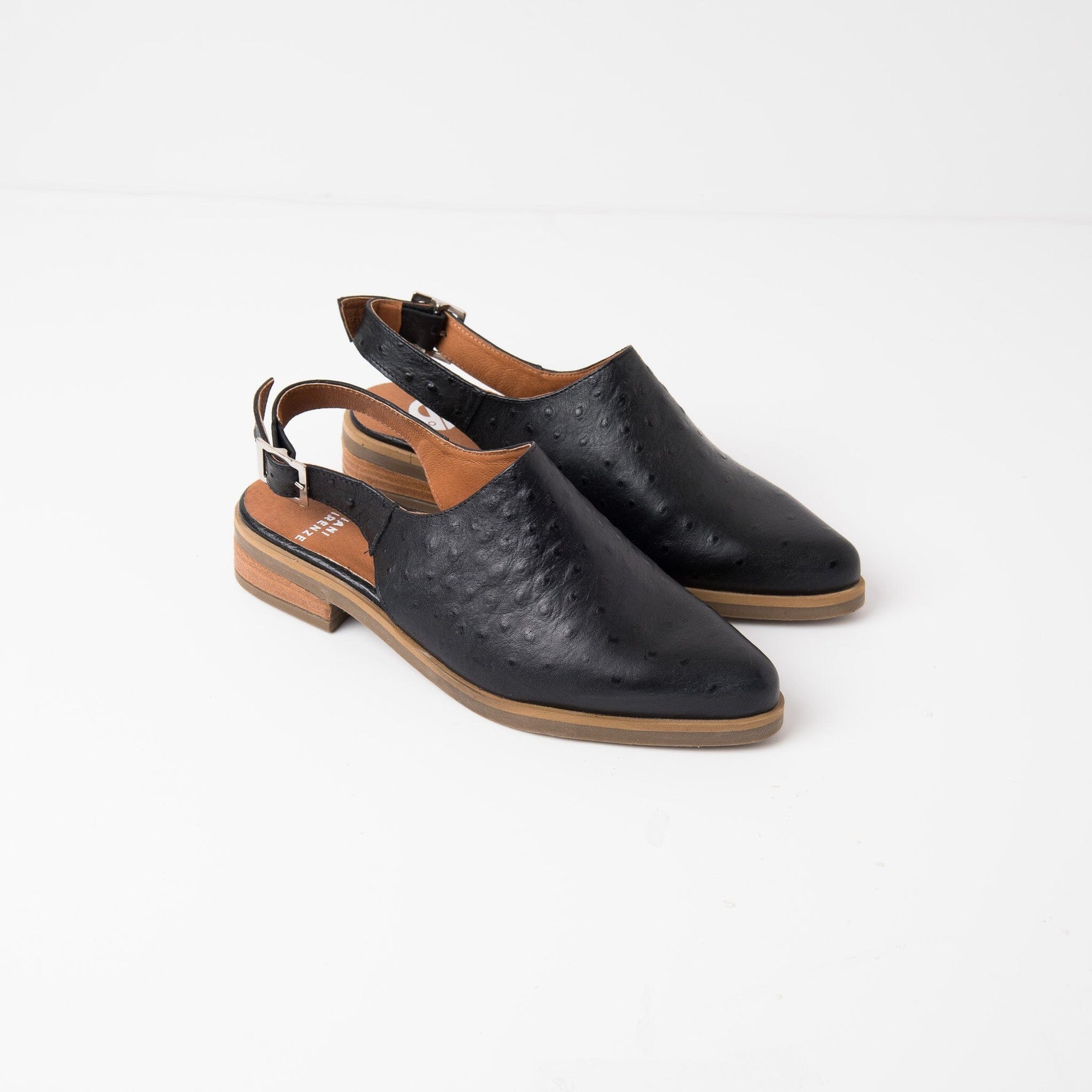 Zapato Mujer / Cardelina Negro ZAPATOS Giani Dafirenze 