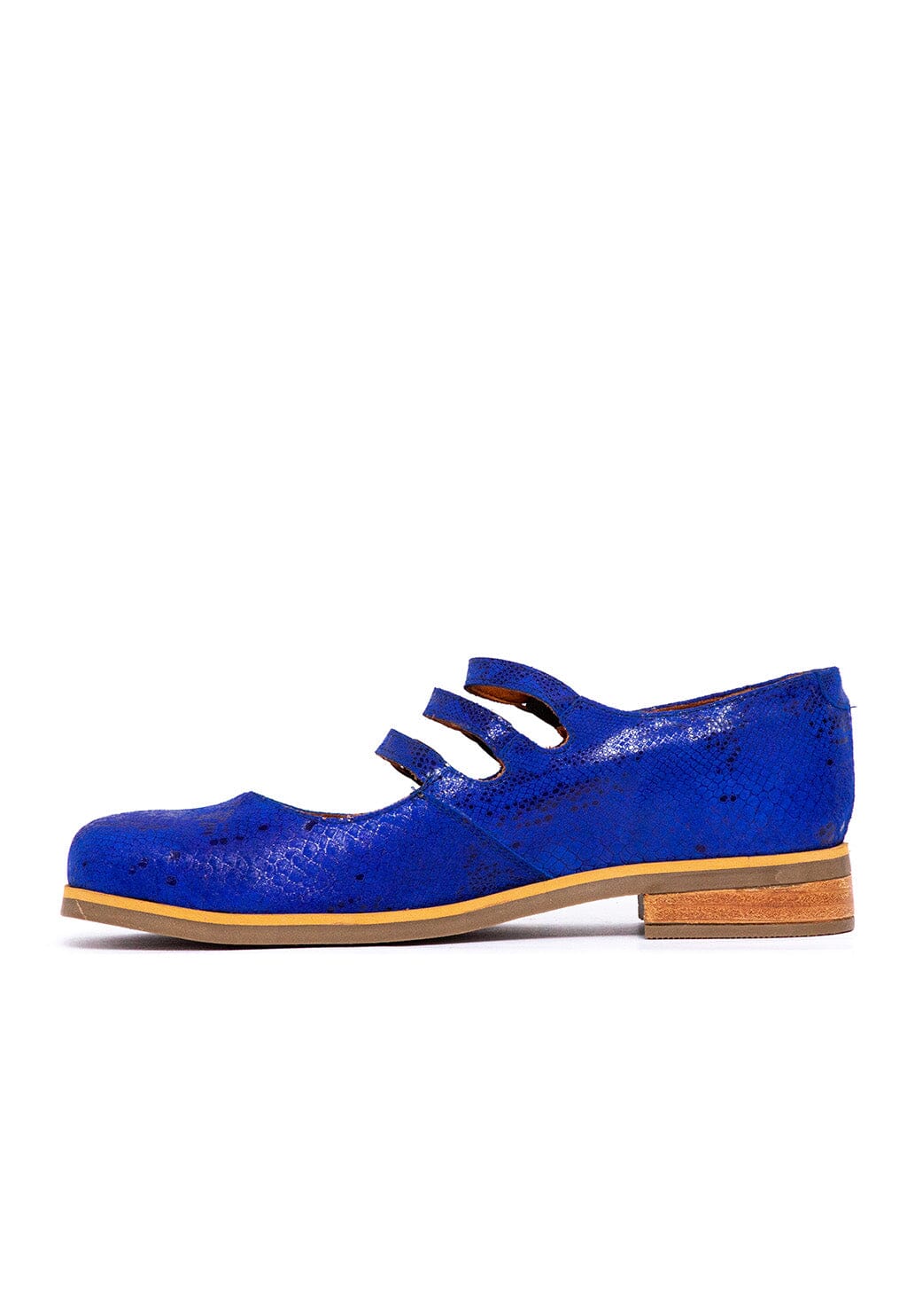 Zapato Mujer / Cavancha Azul ZAPATOS Giani Dafirenze 