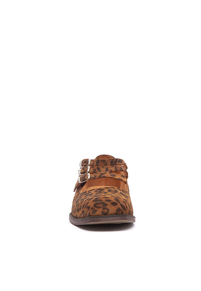 Zapato Mujer / Cavancha Print ZAPATOS Giani Dafirenze 