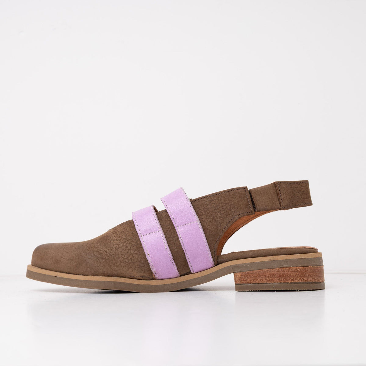 Zapato Mujer / Estrilda Café Lila ZAPATOS Giani Dafirenze 