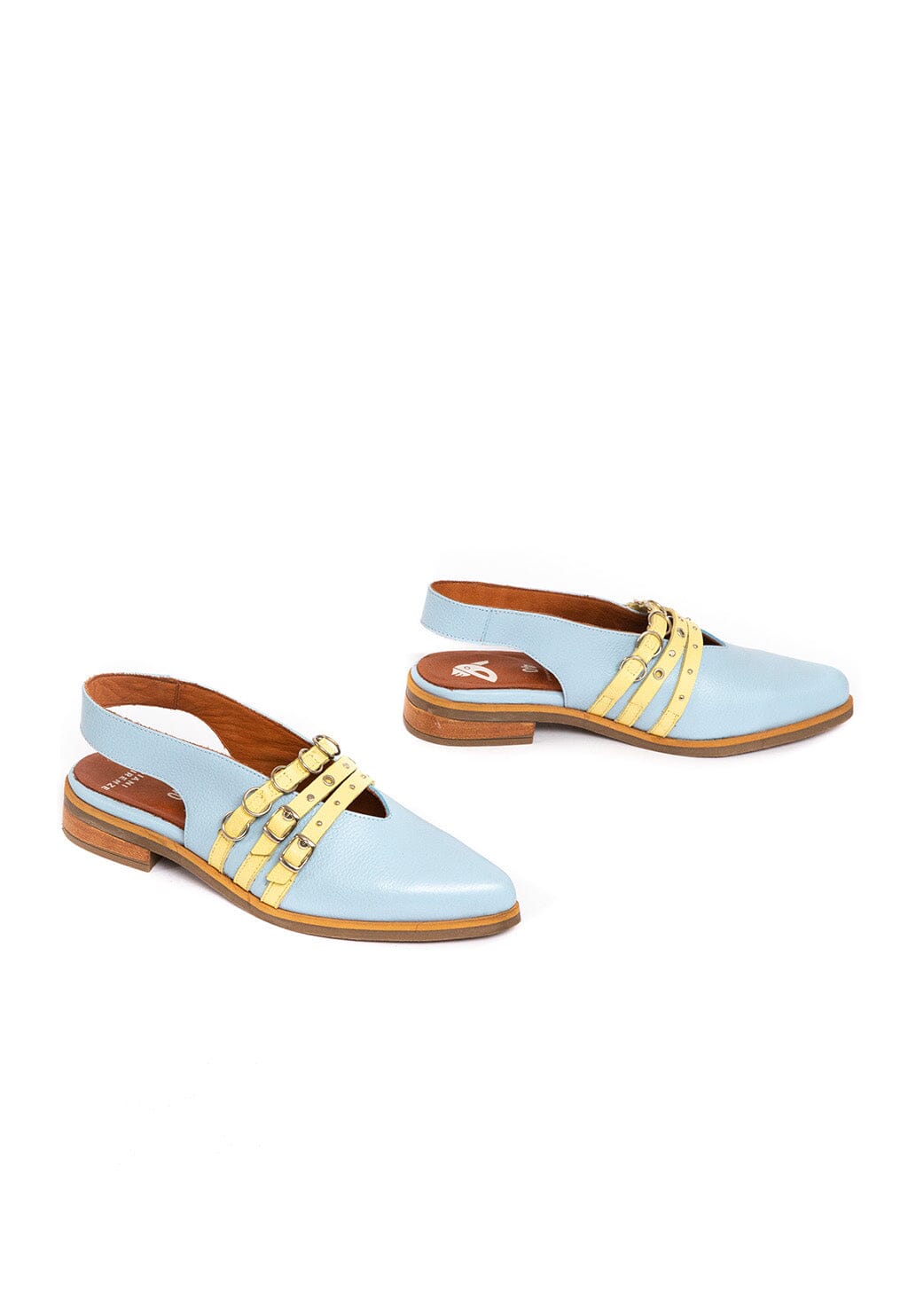 Zapato Mujer / Fior Celeste Amarillo ZAPATOS Giani Dafirenze 