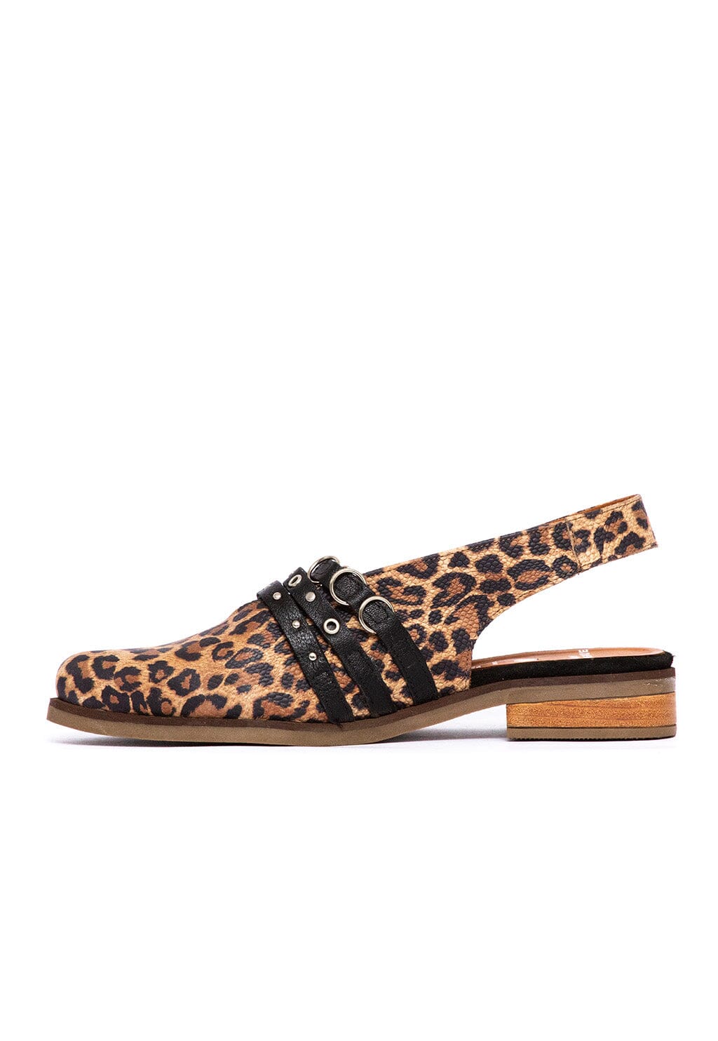 Zapato Mujer / Fior Print Negro ZAPATOS Giani Dafirenze 