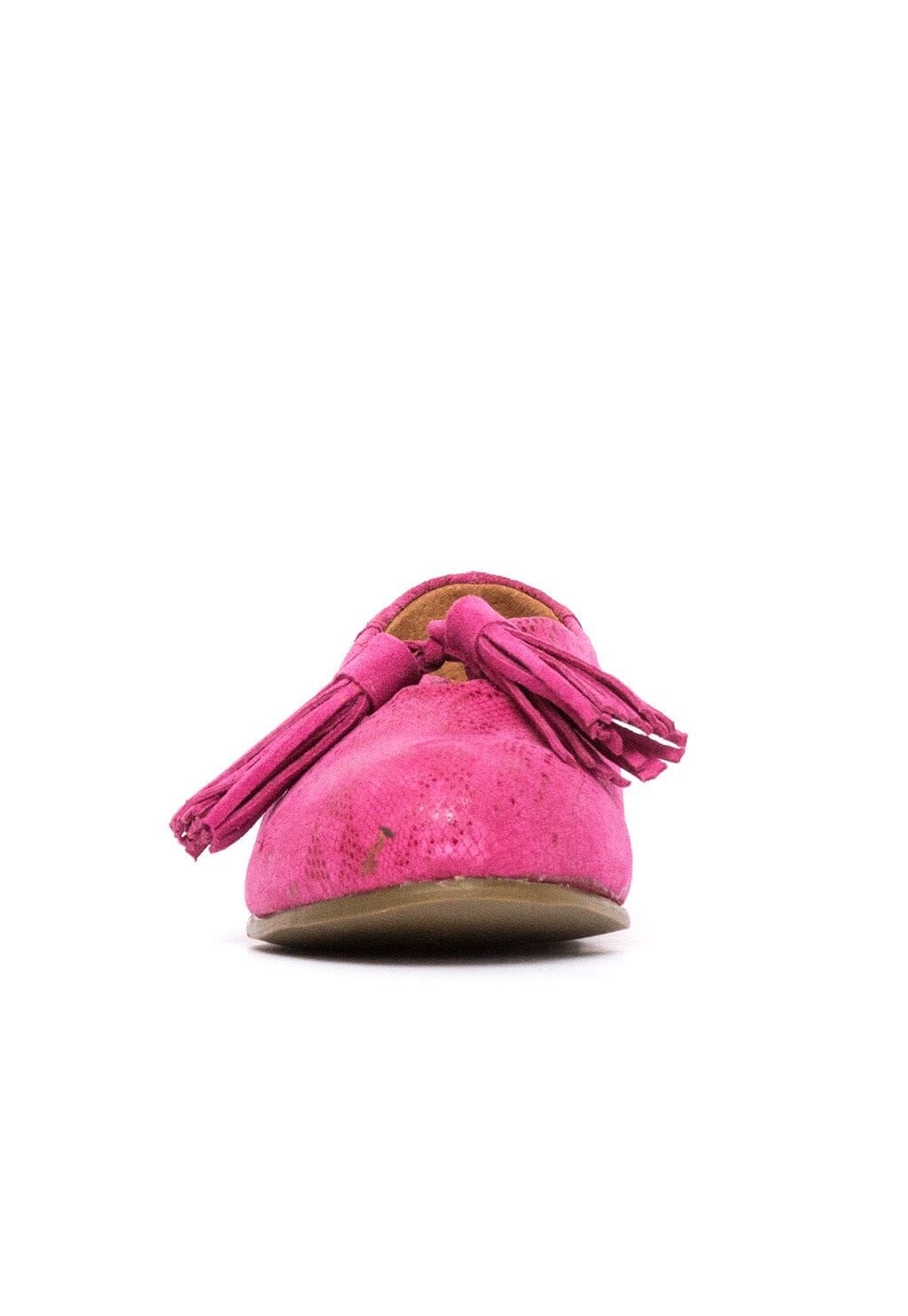 Zapato Mujer / Gala Fucsia ZAPATOS Giani Dafirenze 