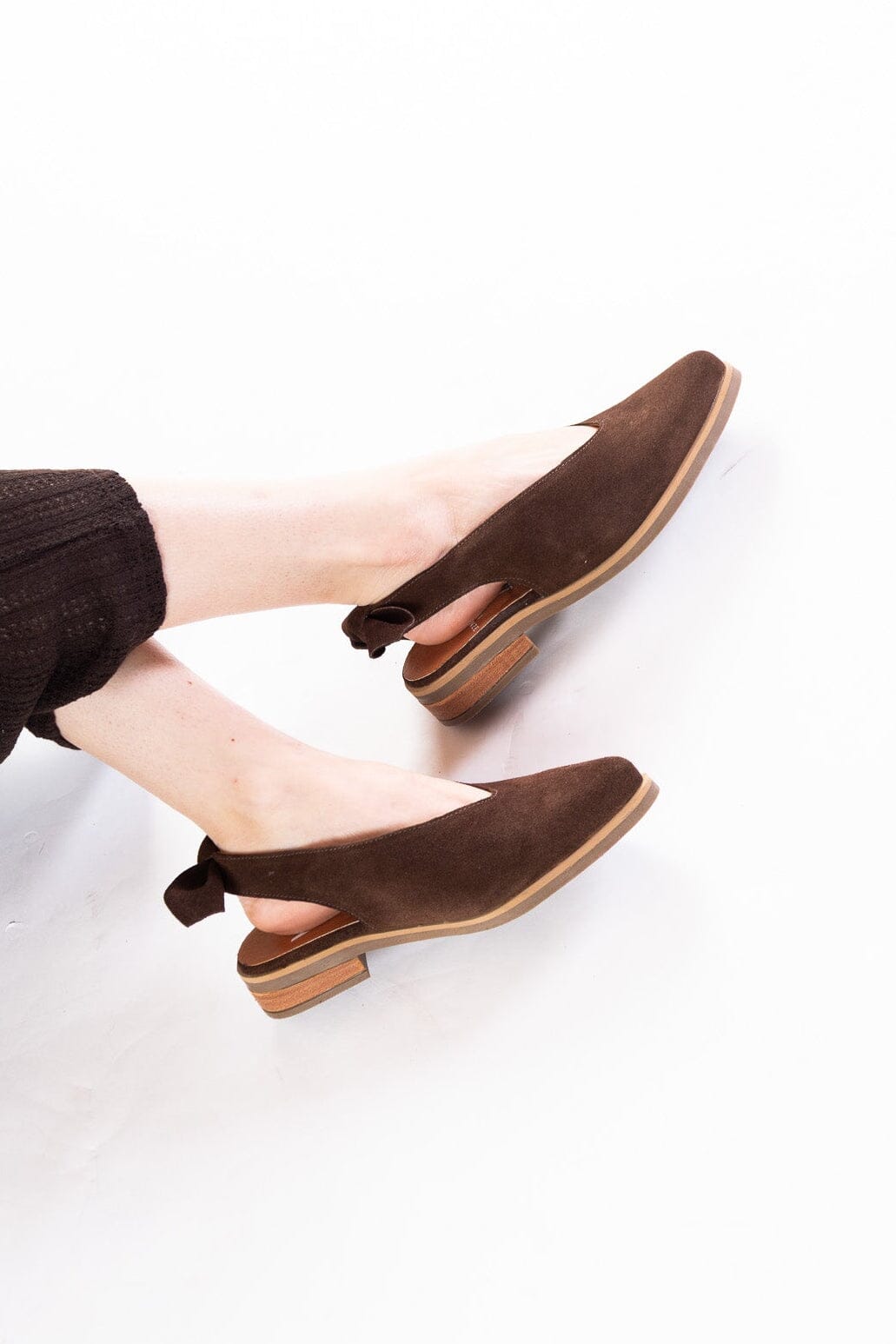 Zapato Mujer / Guindo Café ZAPATOS Giani Dafirenze 
