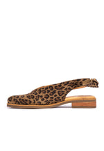 Zapato Mujer / Guindo Leopardo ZAPATOS Giani Dafirenze 