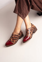 Zapato Mujer / Homero Burdeo Print ZAPATOS Giani Dafirenze 