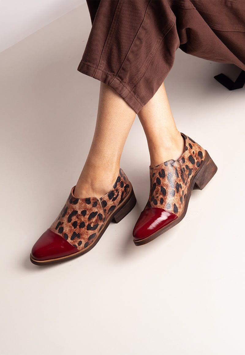 Zapato Mujer / Homero Burdeo Print ZAPATOS Giani Dafirenze 