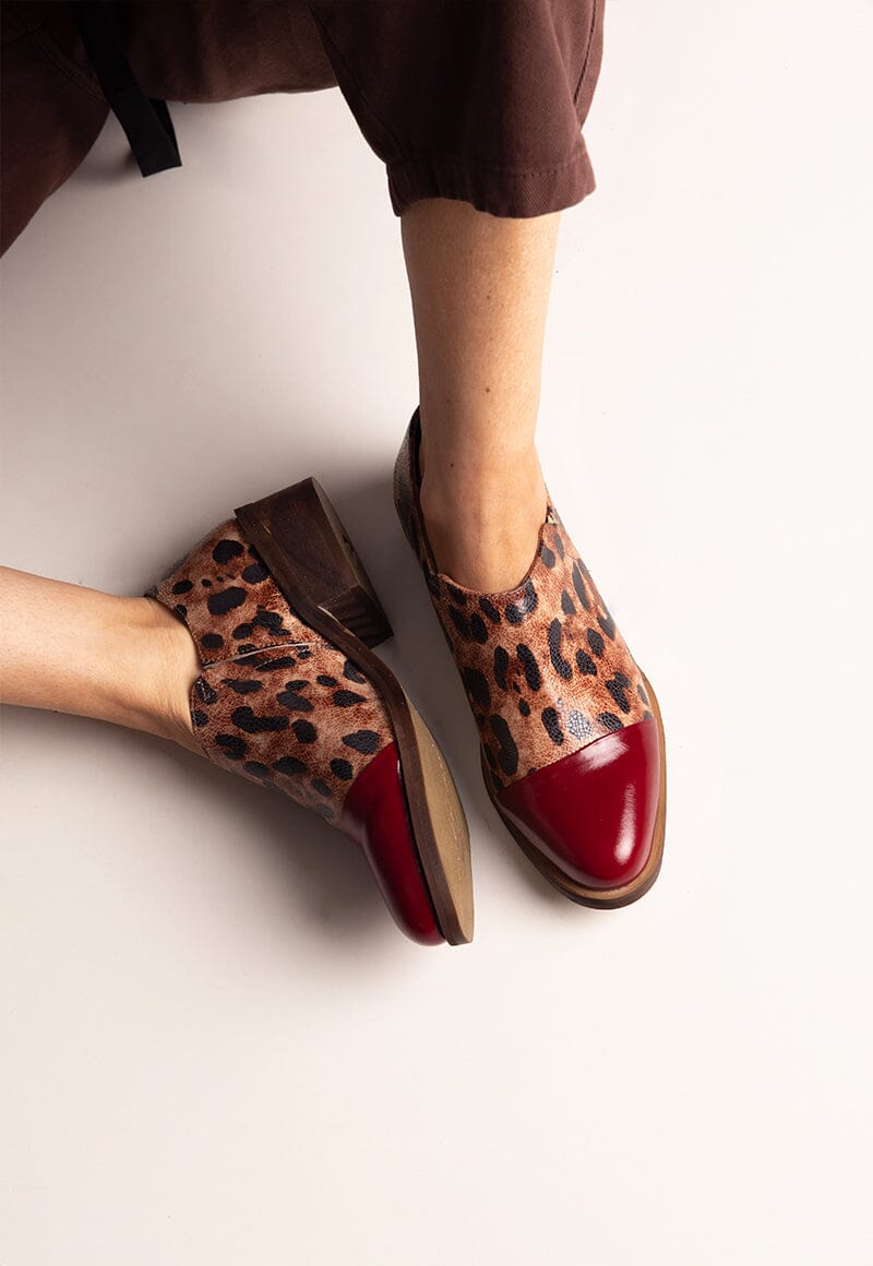 Zapato Mujer / Homero Burdeo Print ZAPATOS Giani Dafirenze 