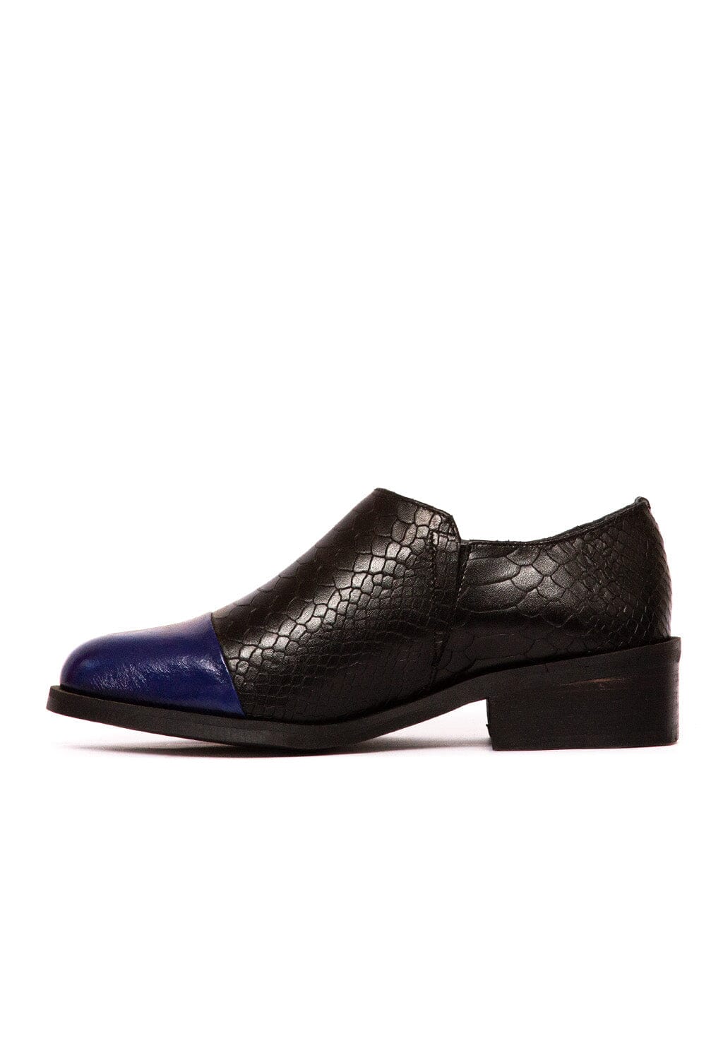 Zapato Mujer / Homero Negro Azul ZAPATOS Giani Dafirenze 