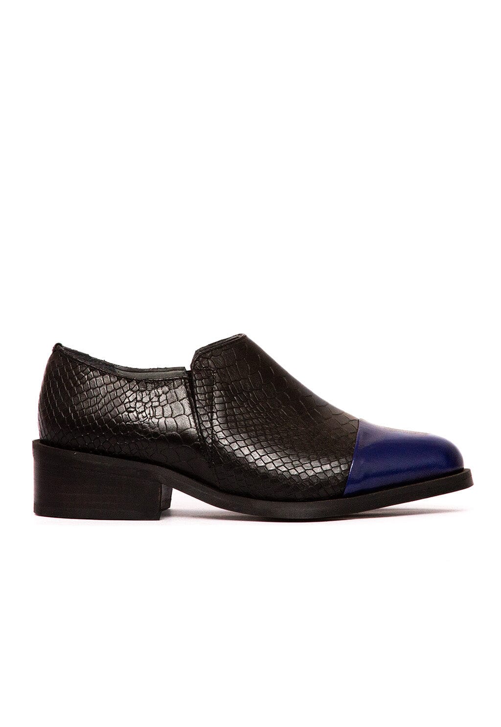 Zapato Mujer / Homero Negro Azul ZAPATOS Giani Dafirenze 