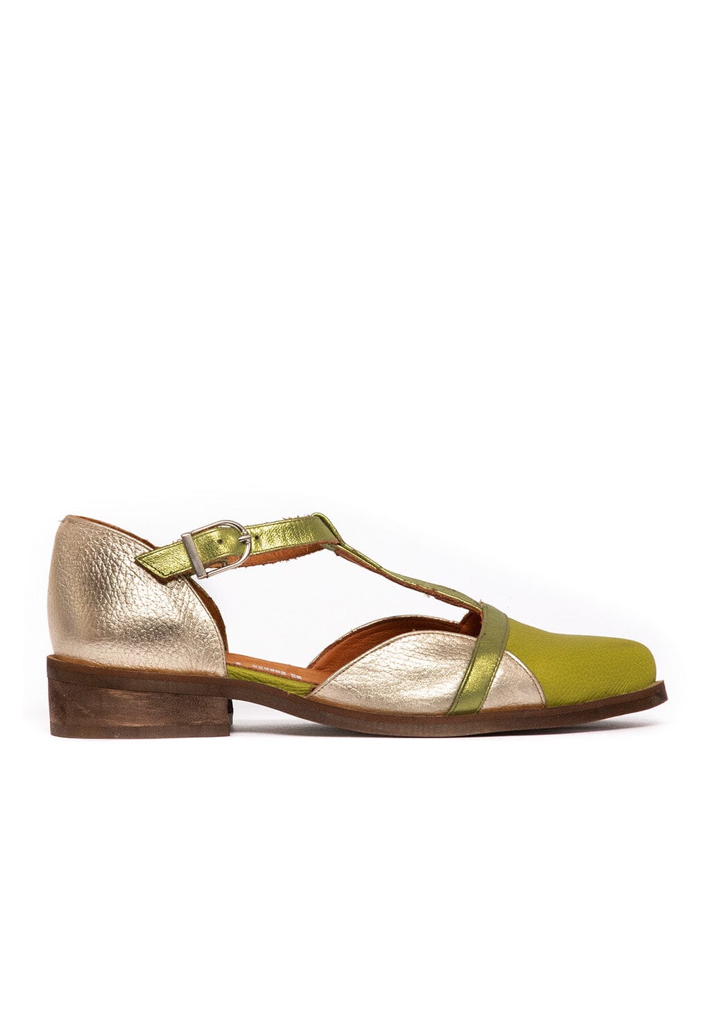 Zapato Mujer / Pomarino Verde Niquel ZAPATOS Giani Dafirenze 