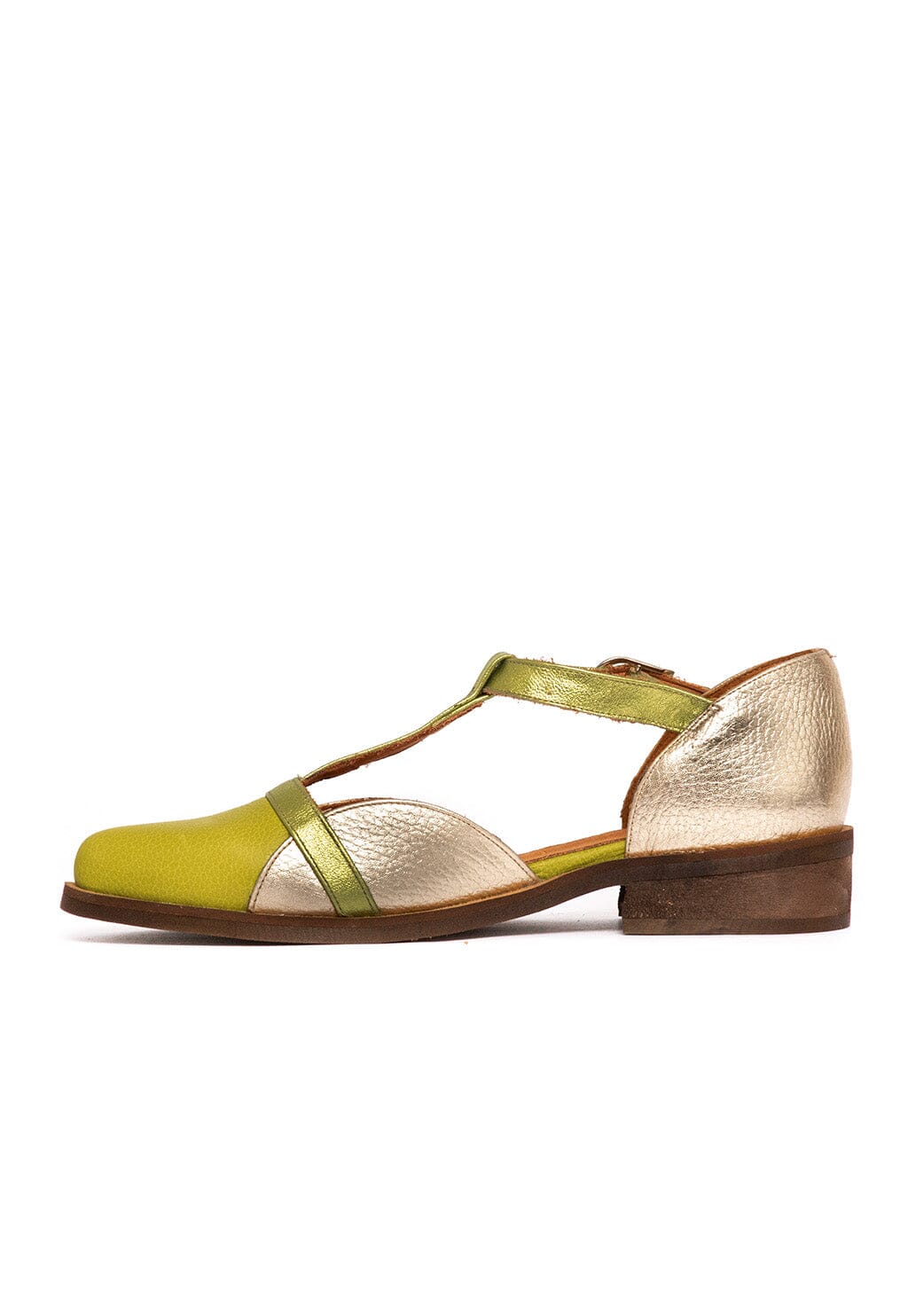 Zapato Mujer / Pomarino Verde Niquel ZAPATOS Giani Dafirenze 
